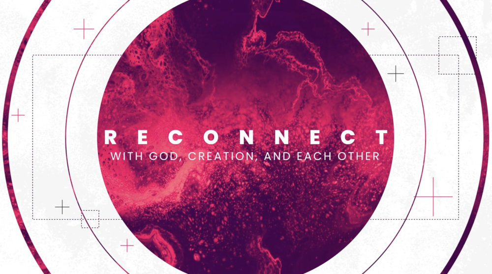 Reconnect